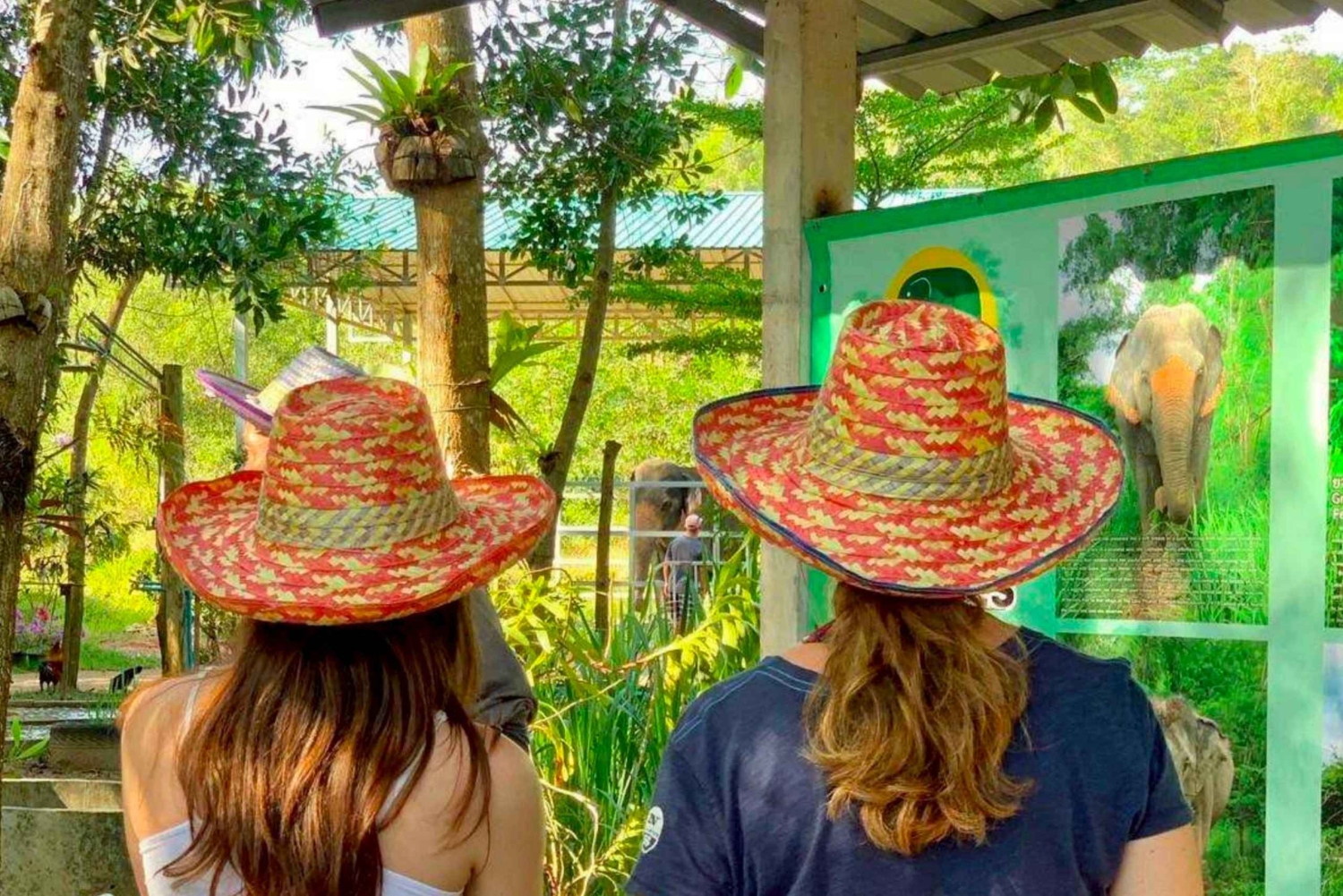 푸켓: 점심 식사 포함 반나절 윤리적 코끼리 보호 구역 투어