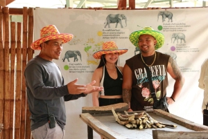 푸켓: 점심 식사 포함 반나절 윤리적 코끼리 보호 구역 투어