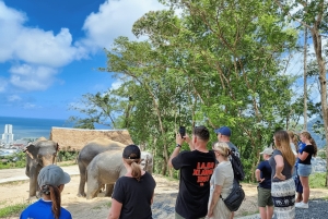 Phuket: Halvdagstur til etisk elefantreservat med måltid og transport