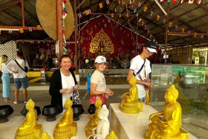 بوكيت: جولة تصوير انستغرام لمدة نصف يوم