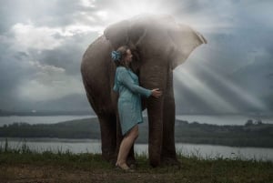 Phuket: Fütterung und Regenschauer im Elefantencamp mit Meerblick