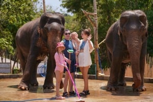 Phuket: Fütterung und Regenschauer im Elefantencamp mit Meerblick