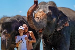 Phuket: Fütterung und Regenschauer im Elefantencamp mit Meerblick