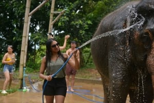 Phuket: Fütterung und Regenschauer im Elefantencamp mit Meerblick