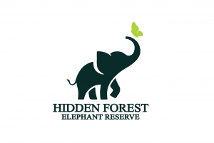Phuket: Hidden Forest Elephant Reserve with Meal & Transfer