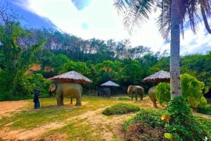 Phuket: Hidden Forest Olifantenreservaat met Maaltijd & Transfer