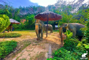 Phuket: Hidden Forest Olifantenreservaat met Maaltijd & Transfer