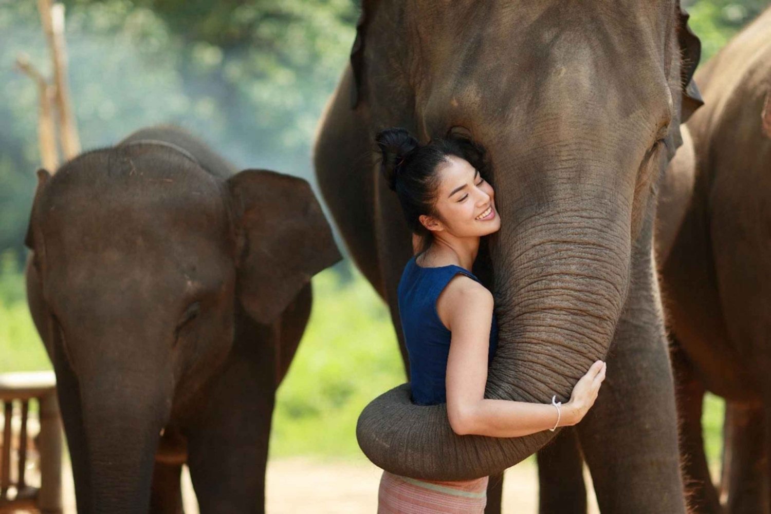 Phuket: Hidden Forest Elephant Reserve med måltid og transfer