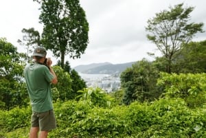 جولة في أبرز النقاط في فوكيت: معبد بوذا الكبير وملاذ الفيلة