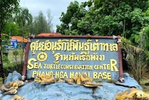 Phuket: Kohokohdat: merikilpikonnien suojelukeskus, melonta, temppelikierros