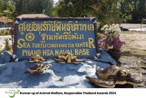 Phuket: główna atrakcja Centrum Żółwi Morskich, rafting, zwiedzanie świątyni