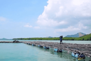 Phuket: Highlights Tour with Pearl Farm & Elephant Village