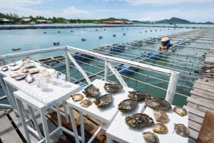 Phuket: Highlights Tour with Pearl Farm & Elephant Village
