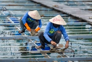 Phuket: Highlights Tour with Pearl Farm & Elephant Village