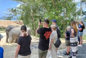 Phuket: Highlights Tour with Pearl Farm & Elephant Village