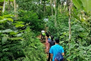 푸켓 일출 하이킹