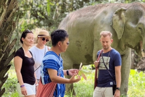Phuket: guidet tur til elefantsanatorium med transport