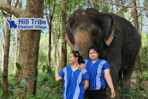Phuket: Tour guiado ecológico no Santuário dos Elefantes