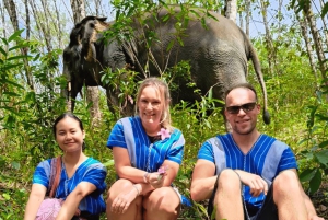 Phuket: Geführter Rundgang zum Elefantenreservat mit Transfer