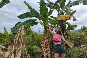 Phuket : Visite du sanctuaire des éléphants avec conservation de la forêt