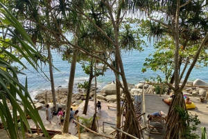 Phuket: Instagrammable Cafes Tour with Hotel Pickup