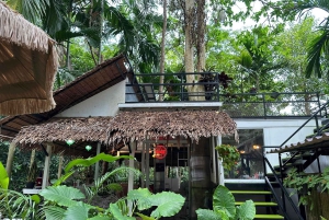 Phuket: Instagrammable Cafes Tour with Hotel Pickup