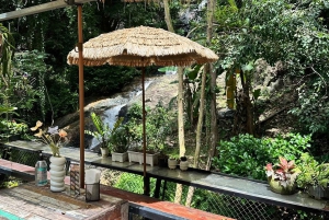 Phuket: Instagrammable Cafes Tour with Hotel Pickup