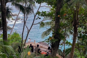 Phuket: Instagrammable Cafes Tour with Hotel Pickup