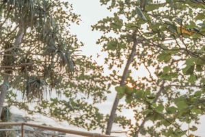 Phuket: tour de cafés para Instagram con recogida en el hotel