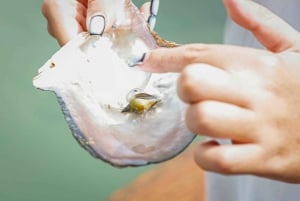 Phuket: visita di mezza giornata alla fattoria Intara e alla fabbrica di perle con pranzo