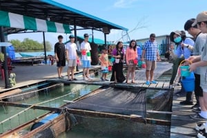 Phuket: visita di mezza giornata alla fattoria Intara e alla fabbrica di perle con pranzo