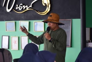 Phuket: visita di mezza giornata alla fattoria Intara e alla fabbrica di perle con pranzo