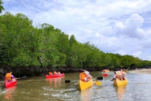 Phuket: visita di mezza giornata alla fattoria Intara e alla fabbrica di perle con pranzo