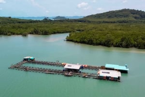 Phuket: visita di mezza giornata alla fattoria Intara e alla fabbrica di perle con pranzo