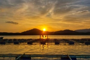 Phuket: visita di mezza giornata alla fattoria Intara e alla fabbrica di perle con pranzo