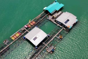 Phuket: visita di mezza giornata alla fattoria Intara e alla fabbrica di perle con pranzo