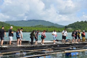 Phuket: visita di mezza giornata alla fattoria Intara e alla fabbrica di perle con pranzo