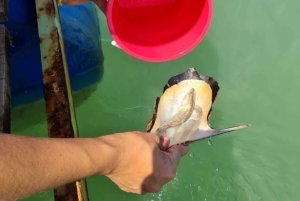 Phuket: passeio de meio dia à Intara Farm e à fábrica de pérolas com almoço