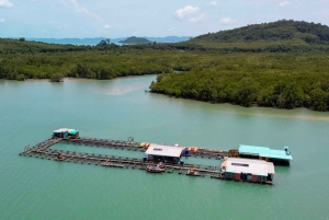 Phuket: passeio de meio dia à Intara Farm e à fábrica de pérolas com almoço