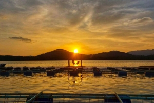 Phuket: passeio de meio dia à Intara Farm e à fábrica de pérolas com almoço