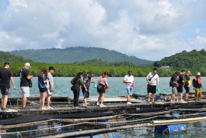 Phuket: passeio de meio dia à Intara Farm e à fábrica de pérolas com almoço