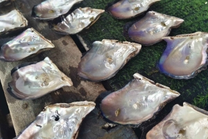 Phuket: passeio de meio dia à Intara Farm e à fábrica de pérolas com almoço