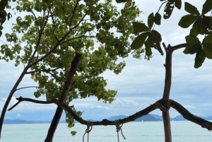 プーケット：ジェームズ・ボンド5島スピードボートツアー（ランチ付き）