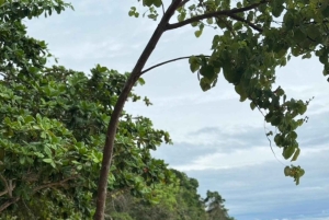 プーケット：ジェームズ・ボンド5島スピードボートツアー（ランチ付き）