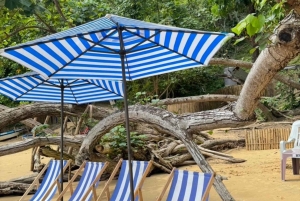 プーケット：ジェームズ・ボンド5島スピードボートツアー（ランチ付き）