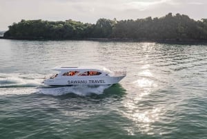 Phuket: James Bond Island and Phang Nga Bay Sea Canoe Tour