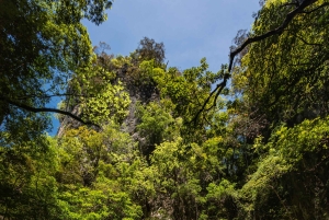 فوكيت: جزيرة جيمس بوند وجولة الزورق البحري في خليج فانغ نجا