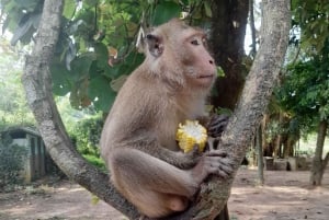 Phuket: James Bond-øya med longtailbåt VIP-gruppetur