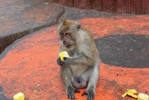 푸켓 롱테일 보트 & 돈 사원으로 떠나는 제임스 본드 아일랜드