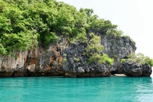 Phuket: James Bond Island med langhalet båd og abetempel